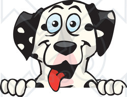 Clipart of a Happy Dalmatian Dog Panting over a Sign - Royalty Free Vector Illustration