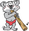 Australian Koala Playing A Didgeridoo
