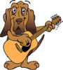 Happy Bloodhound Dog Playing an Acoustic Guitar