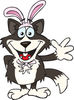 Friendly Waving Border Collie Dog Wearing Easter Bunny Ears