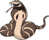 Defensive Brown Cobra Snake Hissing And Flaring Its Hood