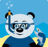 Blue Eyed Male Giant Panda Bear Wearing Blue Snorkel Gear, Holding A Fish Underw...