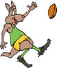Kangaroo Playing Rugby Football