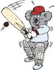 Koala Batting During A Game Of Cricket