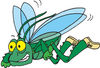Green Flying Grasshopper Wearing Shoes