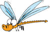 Happy Orange Dragonfly With A Forked Tail