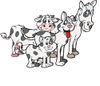 Cloned Matching Cat, Dog, Horse And Cow