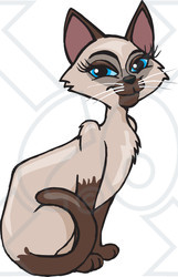 Clipart of a Blue Eyed Female Siamese Cat Sitting - Royalty Free Vector Illustration