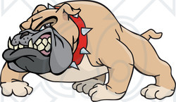 Clipart of a Tough Snarling Brown Bulldog - Royalty Free Vector Illustration