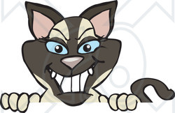 Clipart of a Happy Siamese Cat Peeking over a Sign - Royalty Free Vector Illustration