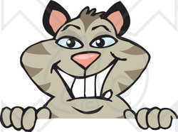 Clipart of a Happy Striped Tabby Cat Peeking over a Sign - Royalty Free Vector Illustration