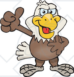 Clipart of a Happy Bald Eagle Giving a Thumb up - Royalty Free Vector Illustration