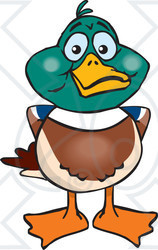 Clipart of a Happy Mallard Drake Duck - Royalty Free Vector Illustration