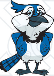 Clipart of a Blue Jay Bird Standing - Royalty Free Vector Illustration