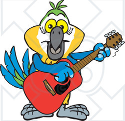 Clipart of a Cartoon Happy Blue and Yellow Macaw Parrot Playing an Acoustic Guitar - Royalty Free Vector Illustration