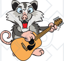 Clipart of a Cartoon Happy Opossum Playing an Acoustic Guitar - Royalty Free Vector Illustration