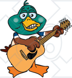 Clipart of a Cartoon Happy Mallard Duck Playing an Acoustic Guitar - Royalty Free Vector Illustration