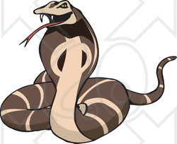 Clipart Illustration of a Defensive Brown Cobra Snake Hissing And Flaring Its Hood