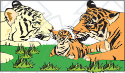 Clipart Illustration of a Tiger Parents Grooming Their Cub