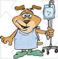 Clipart Illustration of a Hospital Patient Dog In A Robe And Slippers, Walking With Fluids