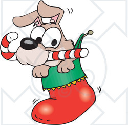 Clipart Illustration of a Cute Puppy With A Candy Cane, Peeking Out Of A Christmas Stocking