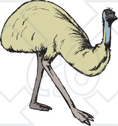 Clipart Illustration of a Walking Emu Bird