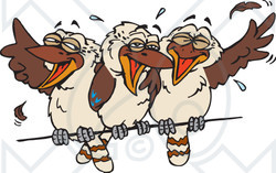 Clipart Illustration of Three Kookaburra Birds Laughing On A Wire