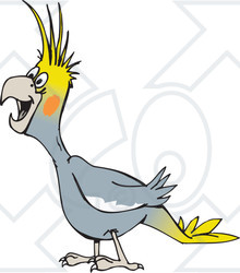 Clipart Illustration of a Laughing Gray Cockatiel