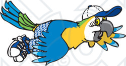 Clipart Illustration of a Blue And Yellow Macaw Flying In Shorts And A Hat