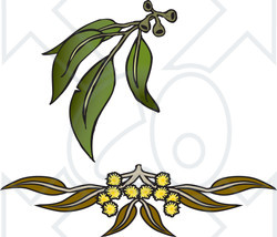 Royalty-Free (RF) Clipart Illustration of Leaves And Flowers Of Gum Wattle