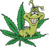 Royalty-Free (RF) Clipart Illustration of a Caterpillar Eating A Marijuana Leaf