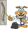 Chiropractor Dog With A Head Lamp And Medical Bag, Pointing To A Diaphram Of A S...
