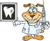 Dentist Dog Wearing A Head Lamp, Holding A Syringe And Looking At A Tooth Xray