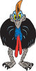 Angry Cassowary Facing Front