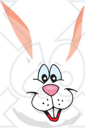 Clipart  Happy White Easter Bunny Face - Royalty Free Vector Illustration