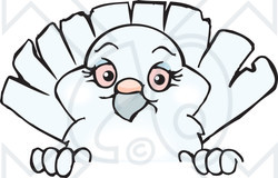 Clipart of a Happy White Dove Peeking over a Sign - Royalty Free Vector Illustration
