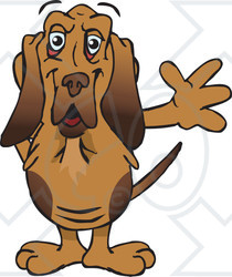 Clipart of a Friendly Waving Bloodhound Dog - Royalty Free Vector Illustration