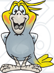 Clipart of a Happy Cockatiel Bird Standing - Royalty Free Vector Illustration