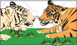 Clipart Illustration of a Tiger Pair Gazing At Each Other While Laying In Grass