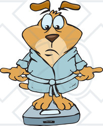 Clipart Illustration of a Disappointed Brown Dog In A Rob, Standing On A Scale And Reading The Results