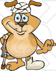 Clipart Illustration of a Beat Up Brown Dog Wearing A Cast And Head Bandage, Walking With A Crutch