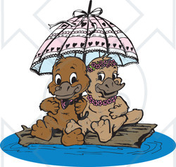 Clipart Illustration of a Sweet Platypus Couple Cuddling Under An Umbrella